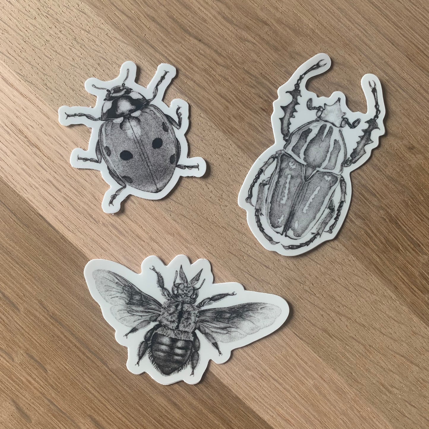 Insect Stickers