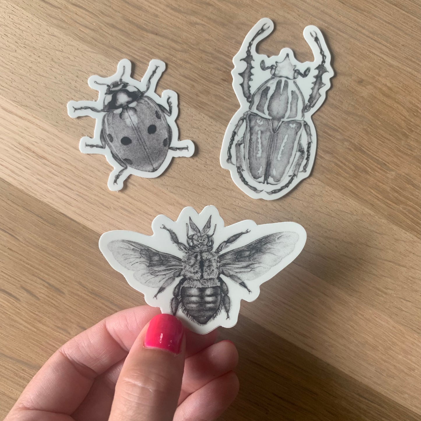 Insect Stickers