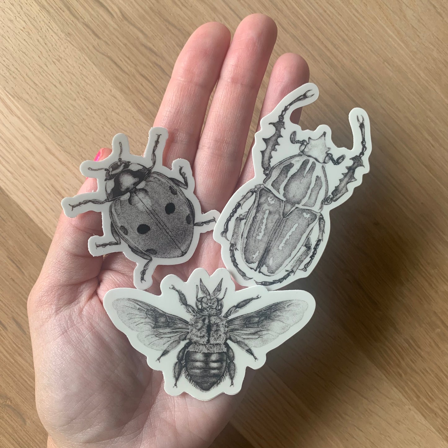 Insect Stickers
