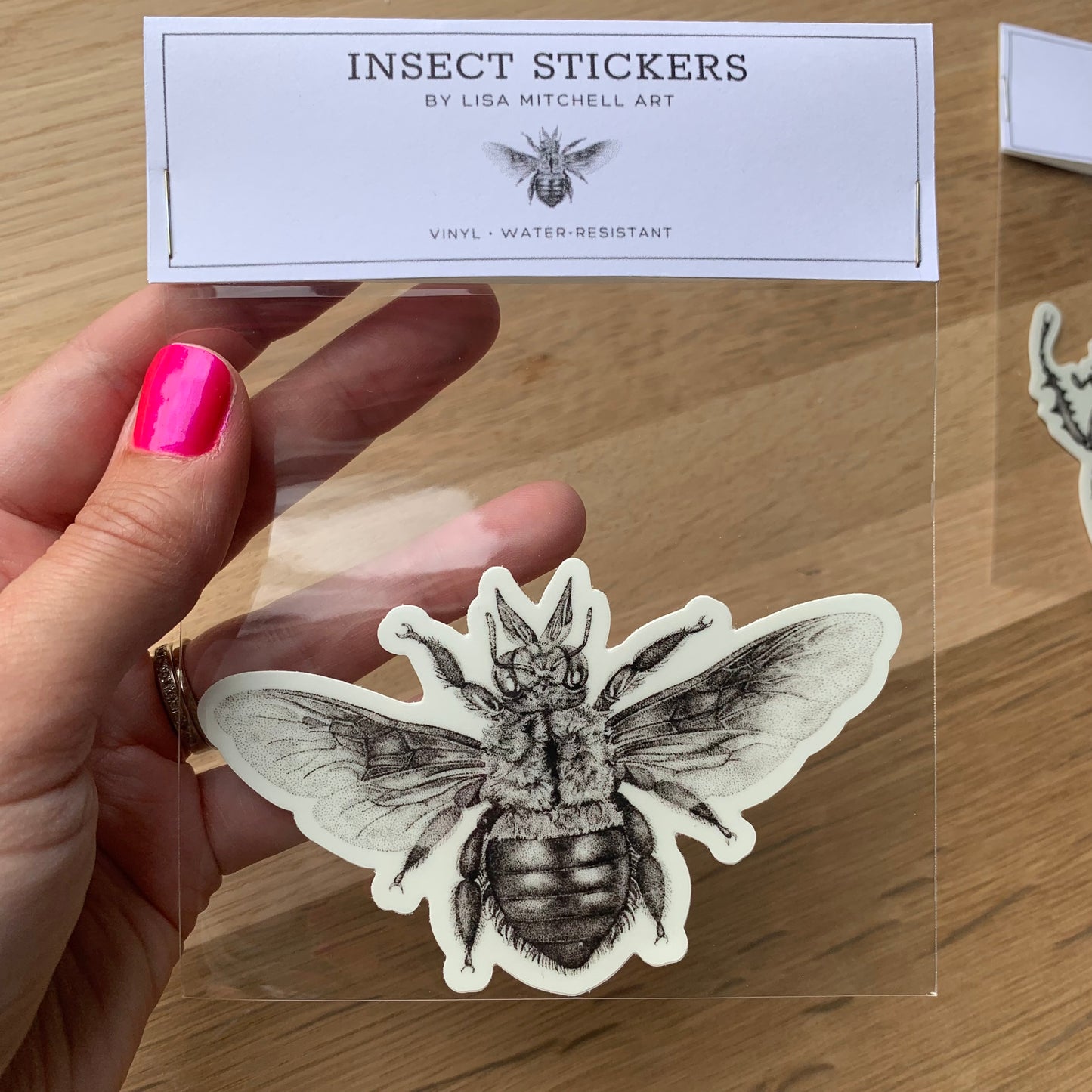 Insect Stickers