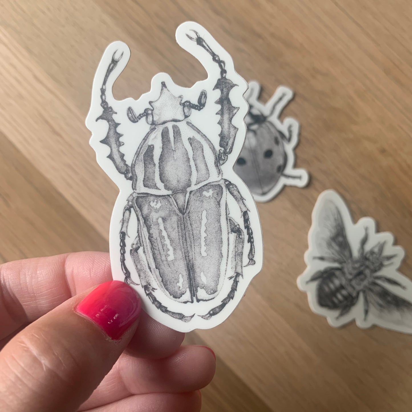 Insect Stickers