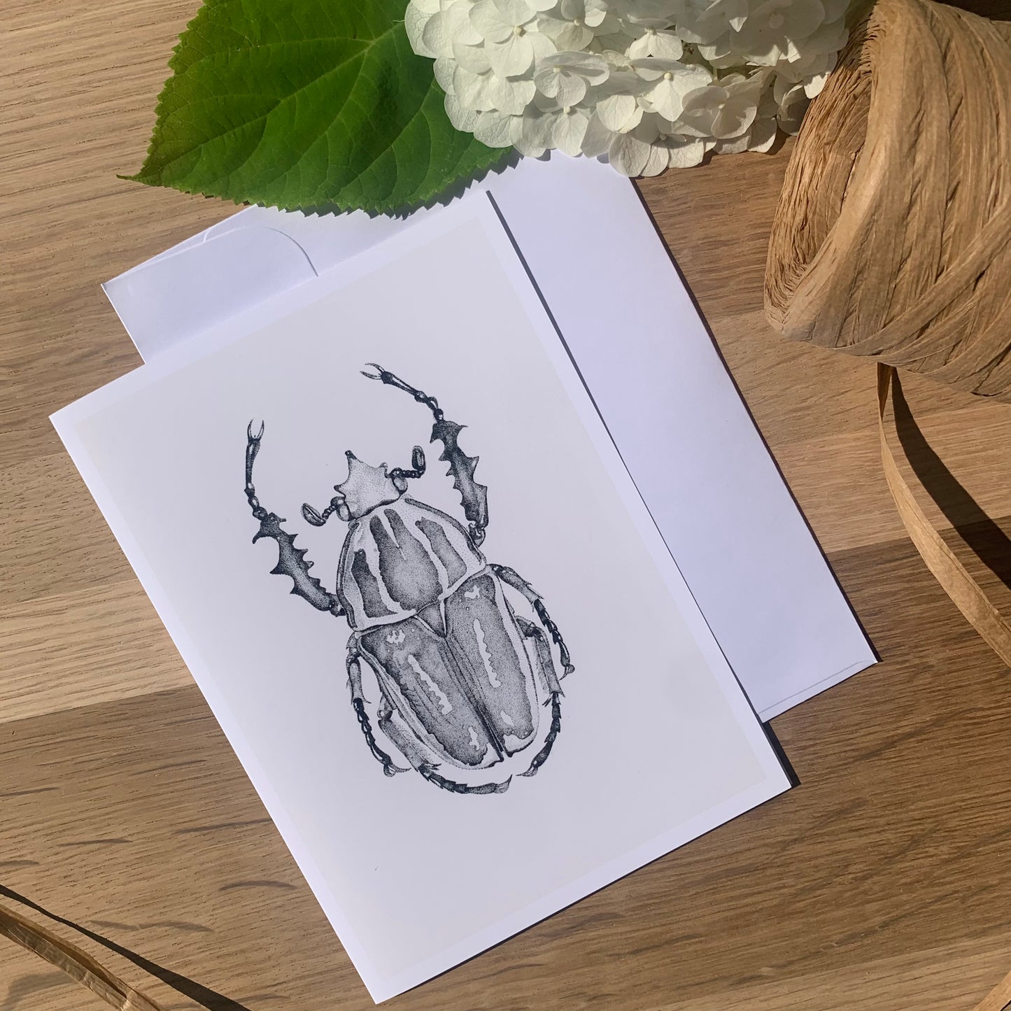 Insect Art Card Pack