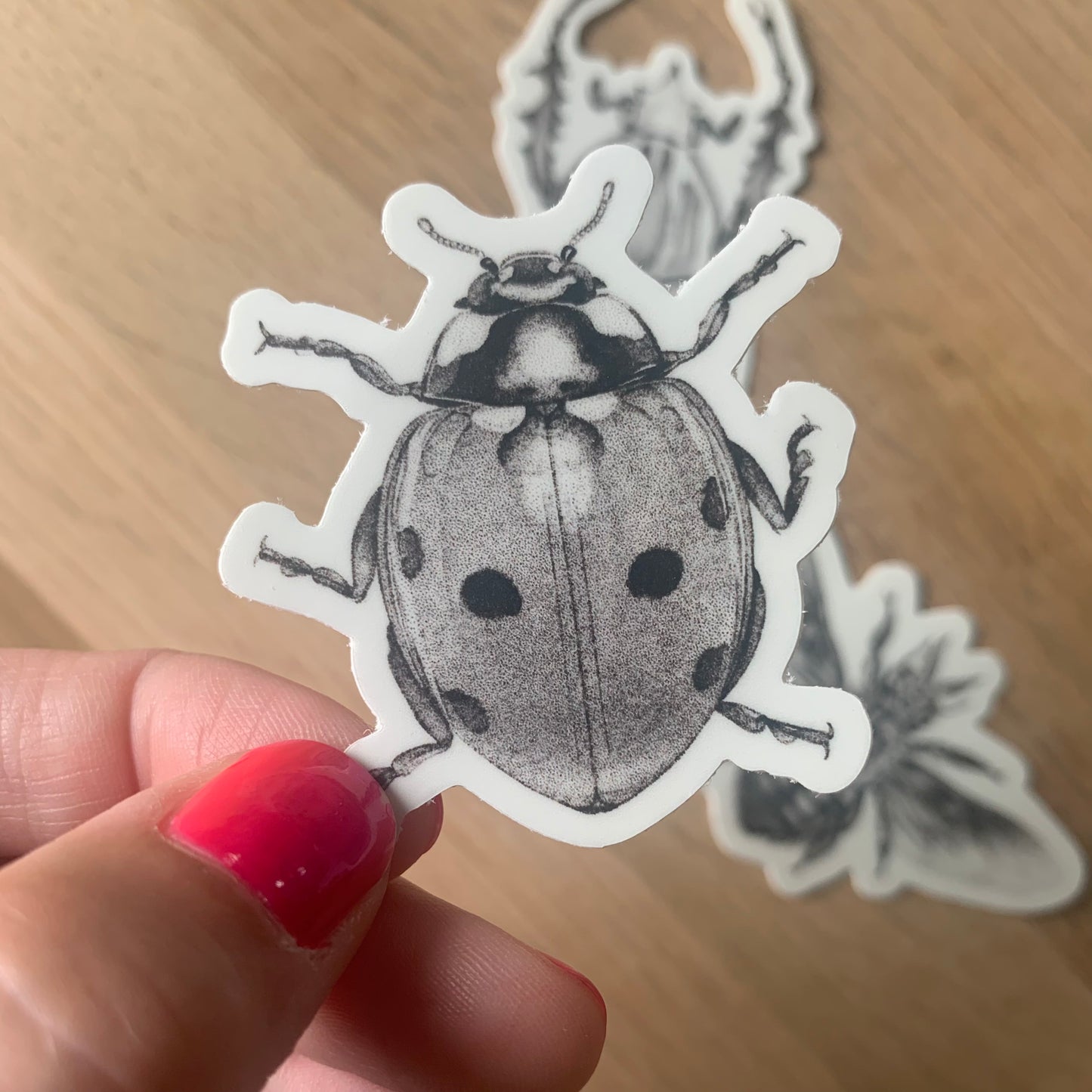 Insect Stickers