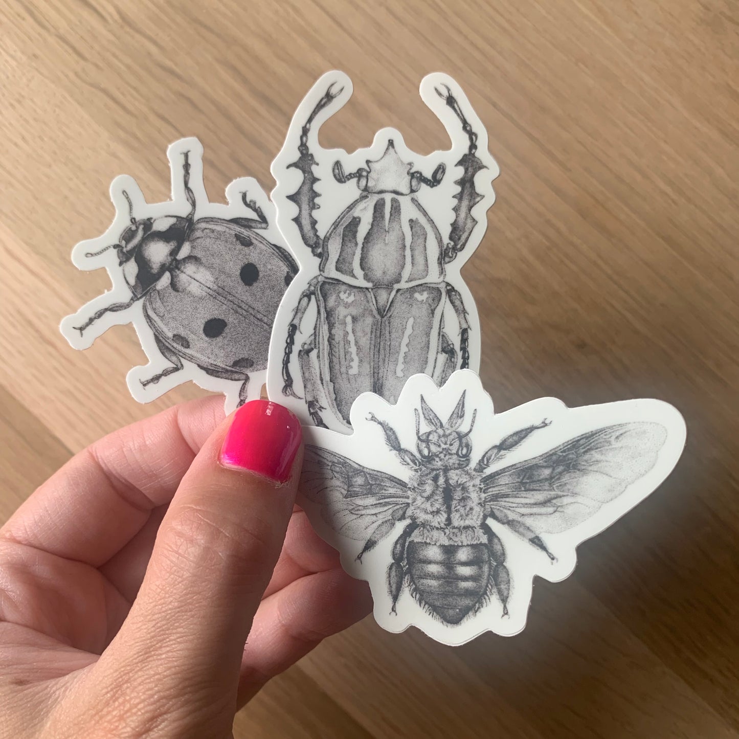 Insect Stickers