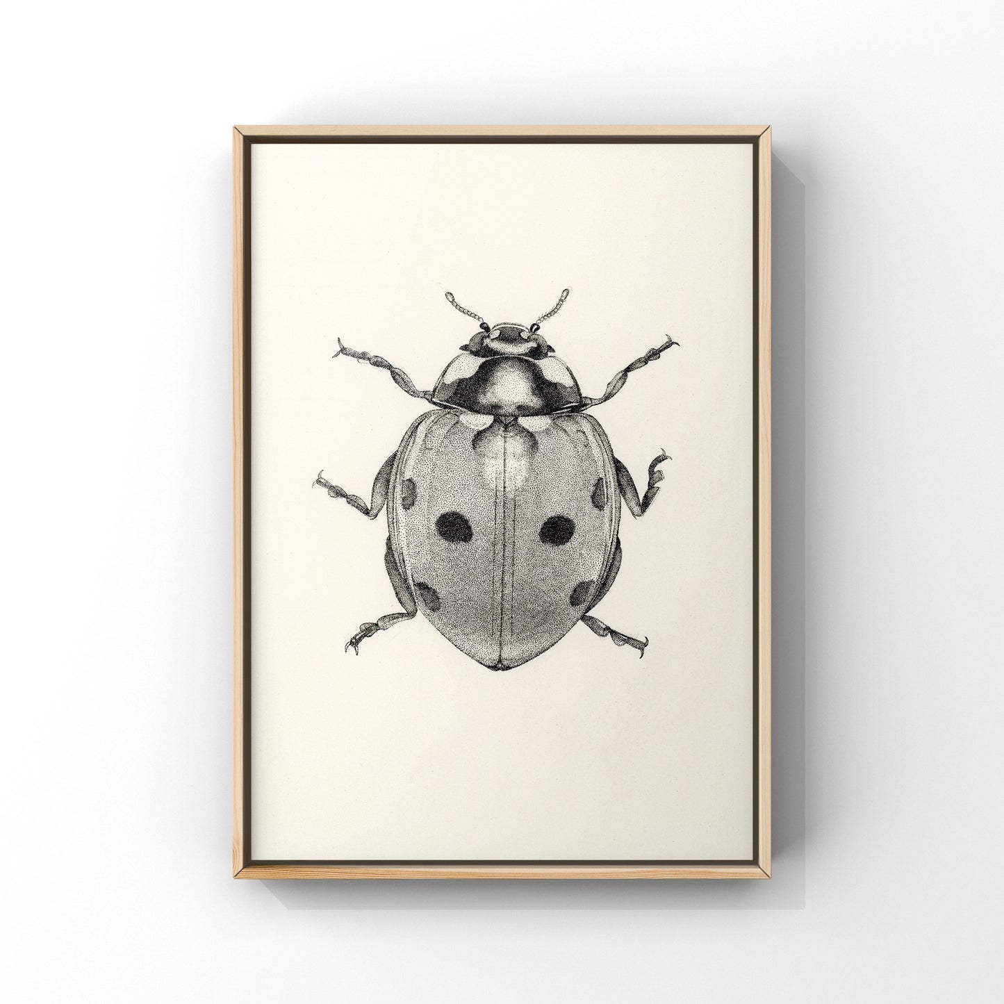 Ladybug - Print