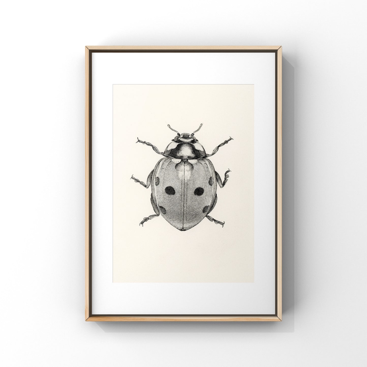 Ladybug - Print