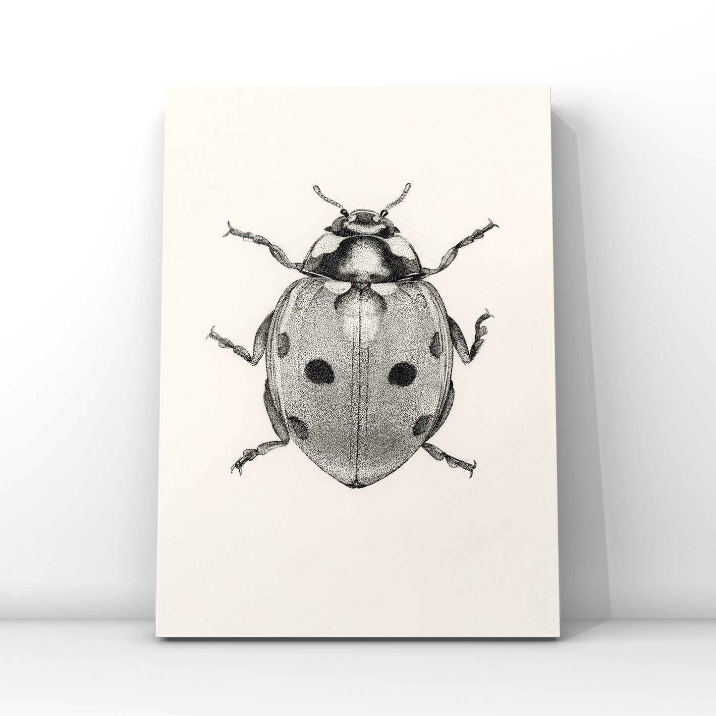 Ladybug - Print